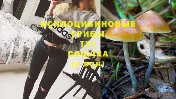 герыч Арсеньев