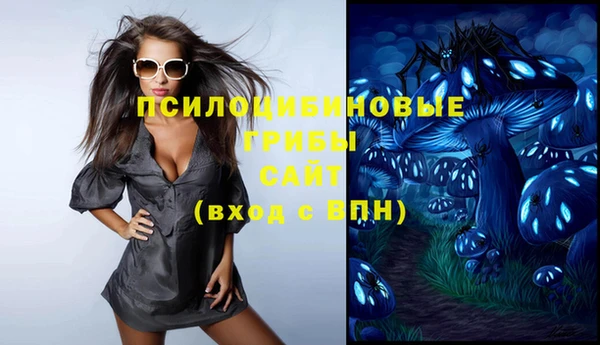 ПСИЛОЦИБИНОВЫЕ ГРИБЫ Аркадак