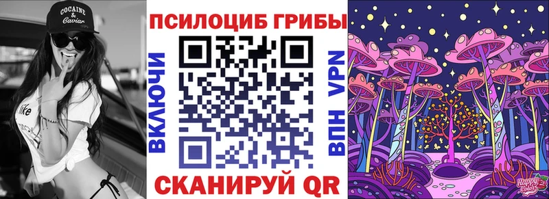 ссылка на мегу вход  купить  сайты  Гулькевичи  Псилоцибиновые грибы Psilocybine cubensis 